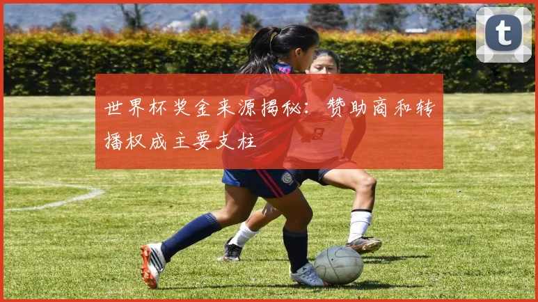 世界杯奖金来源揭秘：赞助商和转播权成主要支柱