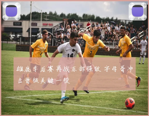 雄鹿季后赛再战东部强敌 字母哥冲击晋级关键一役